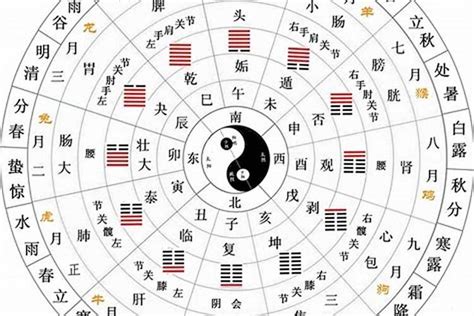 12天干地支|地支